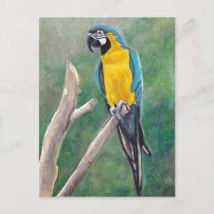 Cartão Postal Cartão-postal azul e Dourado para aves