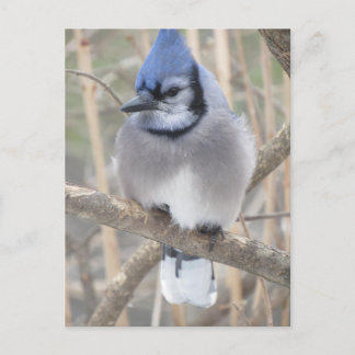 Cartão Postal Cartão-postal azul no lago Elliot