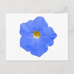 Cartão Postal Cartão-postal azul Petunia e amarelo