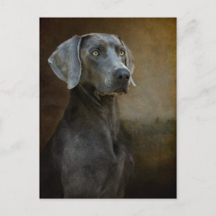 Cartão Postal Cartão-postal Azul Renascença