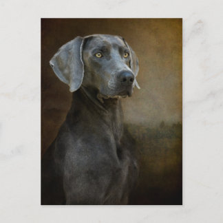 Cartão Postal Cartão-postal Azul Renascentista