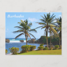 Cartão-postal, Barbados, Cena de Praia, Palmeiras