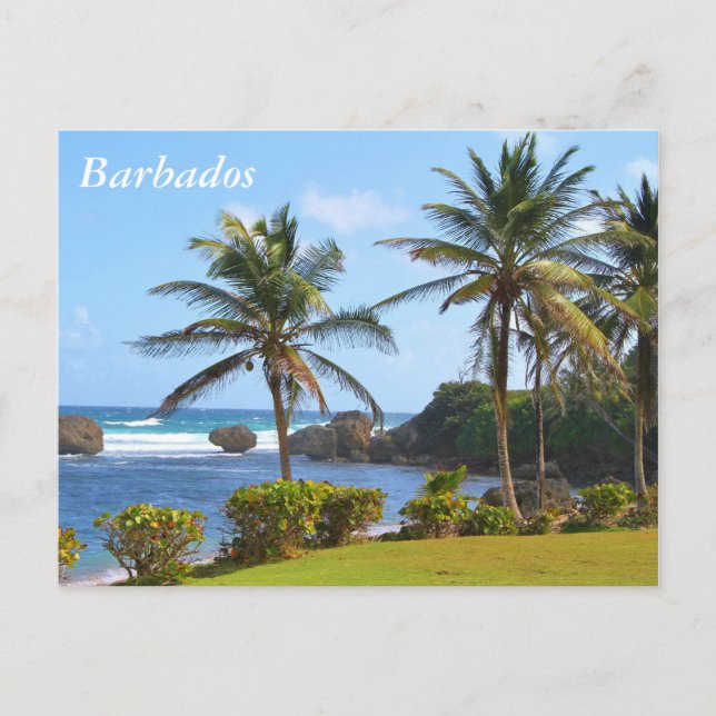 Cartão Postal Cartão-postal, Barbados, Cena de Praia, Palmeiras (Frente)