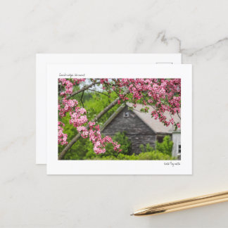 Cartão Postal Cartão-postal Barn e Blossoms