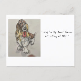 Cartão Postal Cartão-postal Bassie