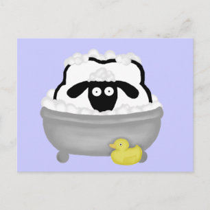 Cartão Postal Cartão-postal Bath Time Sheep