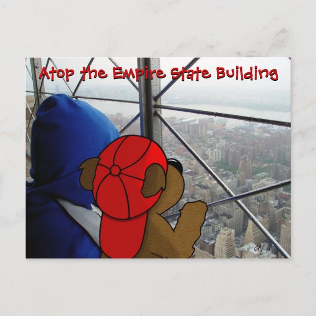 Cartão Postal Cartão-postal 'Bear's Dizzying View' (Frente)