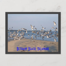 Cartão Postal Cartão-postal, Bethany Beach, Delaware