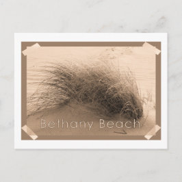 Cartão Postal Cartão-postal Bethany Grass