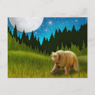Cartão Postal Cartão-postal Big Sky Grizzly