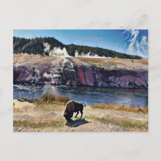 Cartão Postal Cartão-postal Bison Wyoming Yellowstone Willife