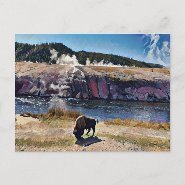 Cartão Postal Cartão-postal Bison Wyoming Yellowstone Willife (Frente)