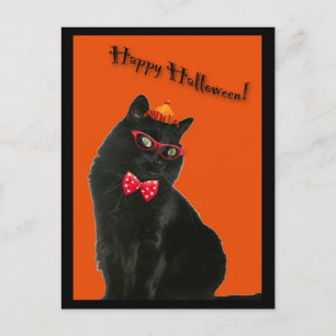 Cartão Postal Cartão-postal Black Cat Happy Halloween