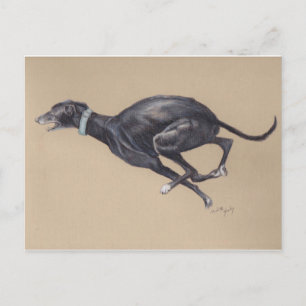 Cartão Postal Cartão-postal Black Greyhound Running Dog Art