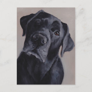 Cartão Postal Cartão-postal Black Labrador Retriever Dog
