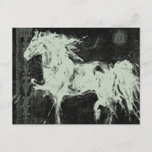 Cartão Postal Cartão-postal Black Stallion