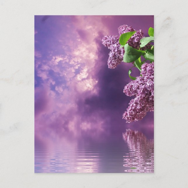 Cartão Postal Cartão-postal Blossomo (Frente)