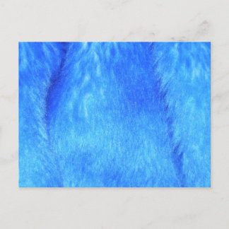 Cartão Postal Cartão-postal Blue Faux