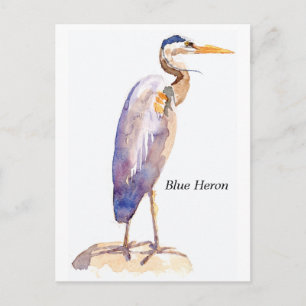 Cartão Postal Cartão-postal Blue Heron
