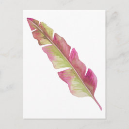 Cartão Postal Cartão-postal Boho Chic Pink e Green Feather