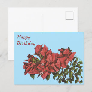 Cartão Postal Cartão-postal Bougainvillea