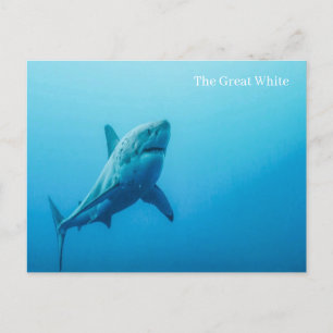 Cartão Postal Cartão-postal branco do Excelente