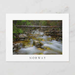 Cartão Postal Cartão-postal branco do Rocky Forest