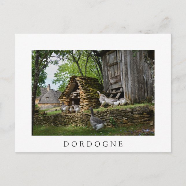 Cartão Postal Cartão-postal branco fazenda do ganso de foie gras (Frente)