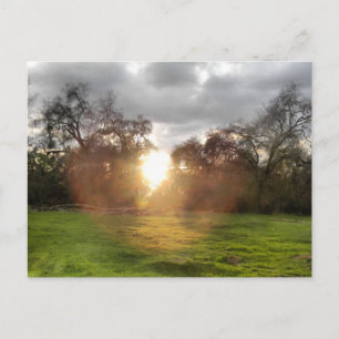 Cartão Postal Cartão-postal brilhante