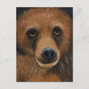 Cartão Postal Cartão-postal Brown Bear
