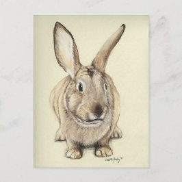 Cartão Postal Cartão-postal "Brown Bunny"