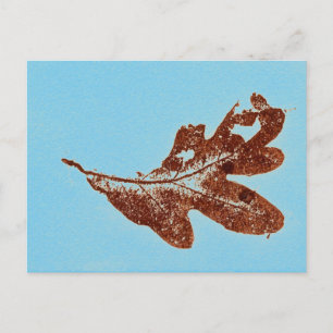 Cartão Postal Cartão-postal "Brown Oak on Blue"