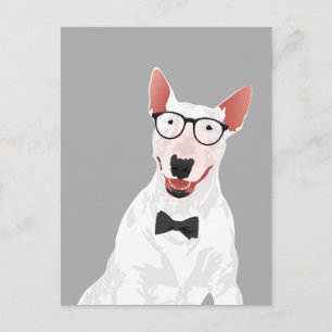 Cartão Postal Cartão-postal Bull hipster English Terrier Dog