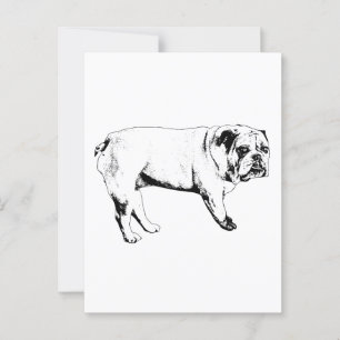 Cartão Postal Cartão-postal Bulldog Snow-Hello