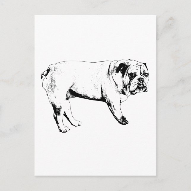 Cartão Postal Cartão-postal Bulldog Snow-Hello (Frente)