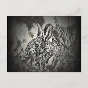 Cartão Postal Cartão-postal Bunny Rabbit - Yard Criters