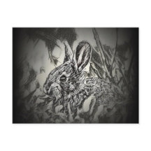 Cartão-postal Bunny Rabbit - Yard Criters