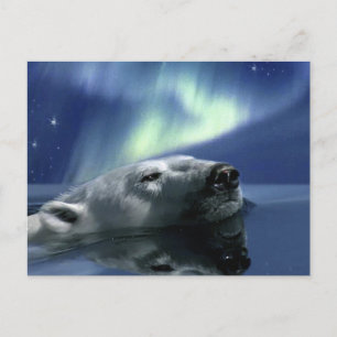 Cartão Postal Cartão-postal BURACO POLAR