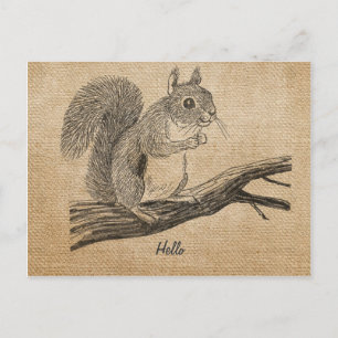 Cartão Postal Cartão-postal Burlap Vintage Squirrel