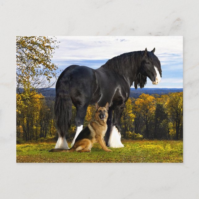 Cartão Postal Cartão-postal "Butch and Blackbird" (Frente)