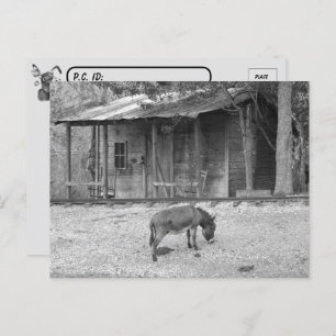 Cartão Postal Cartão-postal Cabin e Donkey no cartão-postal B&W