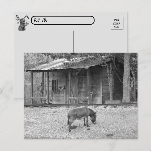 Cartão Postal Cartão-postal Cabin e Donkey no cartão-postal B&W (Frente/Verso)