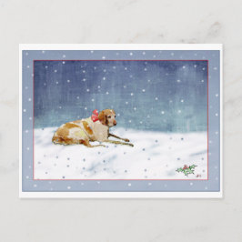 Cartão Postal Cartão-postal Cachorro de Neve