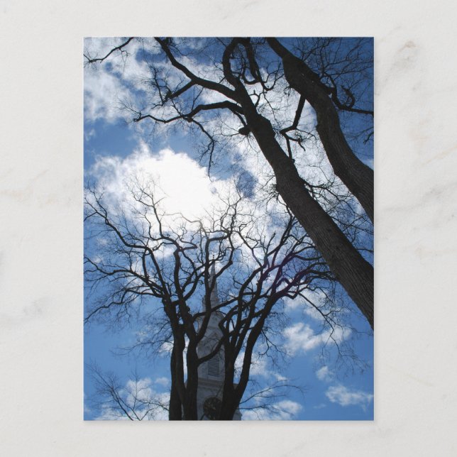 Cartão Postal Cartão-postal Castine - 2 (Frente)