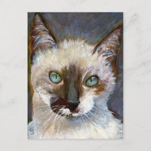 Cartão Postal Cartão-postal Cat
