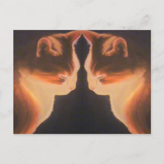 Cartão Postal Cartão-postal Cat