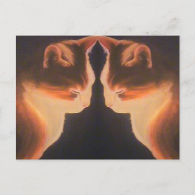 Cartão Postal Cartão-postal Cat (Frente)