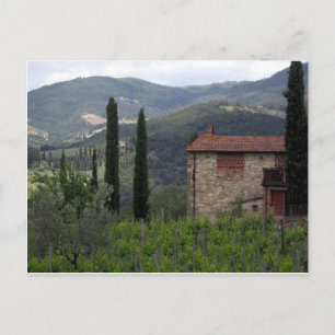 Cartão Postal Cartão-postal Chianti