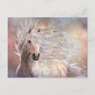 Cartão Postal Cartão-postal Cielo