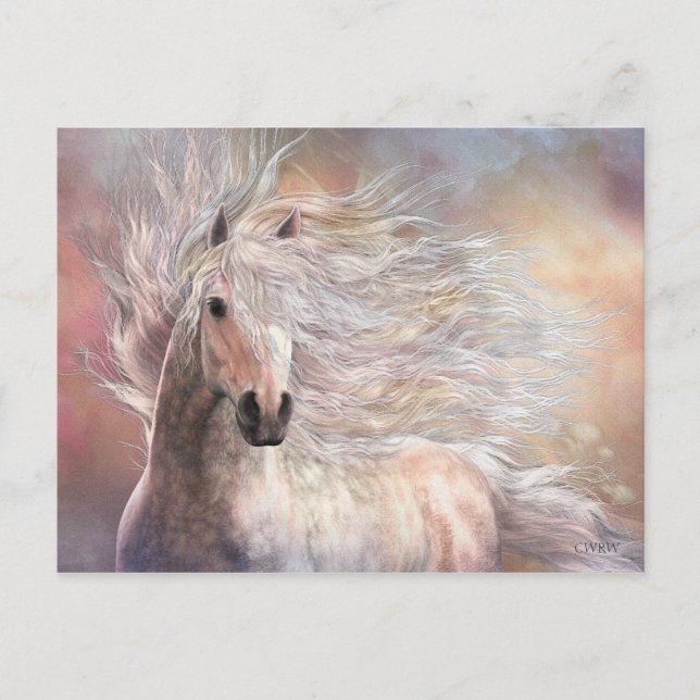 Cartão Postal Cartão-postal Cielo (Frente)